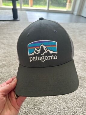 🏔️Patagonia Light Gray Trucker Hat with Multicolor Mountain Logo🏔️